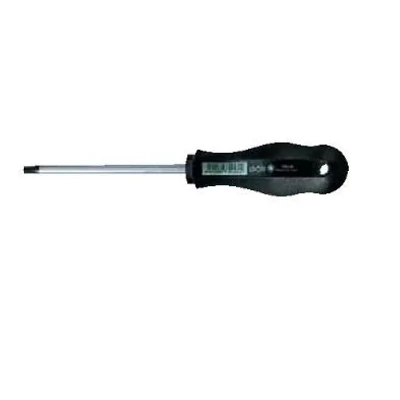 Csavarhúzó, SCHRÖDER, torx, T27 x 100 mm